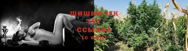 бошки Лагань