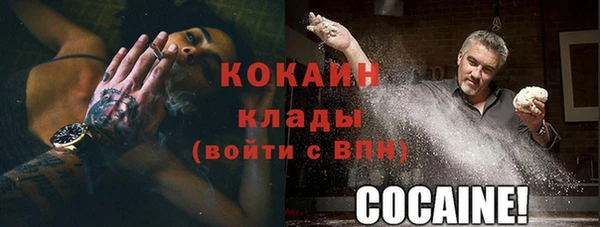бошки Лагань