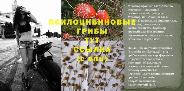 тгк Лабытнанги