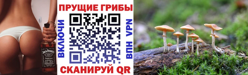 Купить закладки  Кондрово  Галлюциногенные грибы Magic Shrooms 