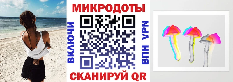 Псилоцибиновые грибы Psilocybine cubensis Кондрово